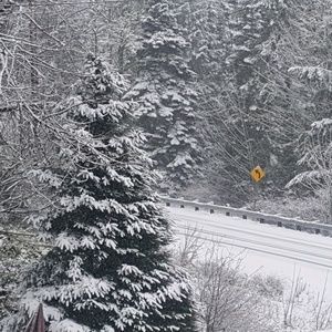 Meet your Posher, Todd